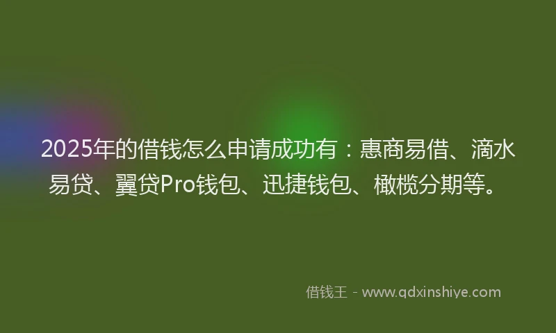 2025年的借钱怎么申请成功有：惠商易借、滴水易贷、翼贷Pro钱包、迅捷钱包、橄榄分期等。