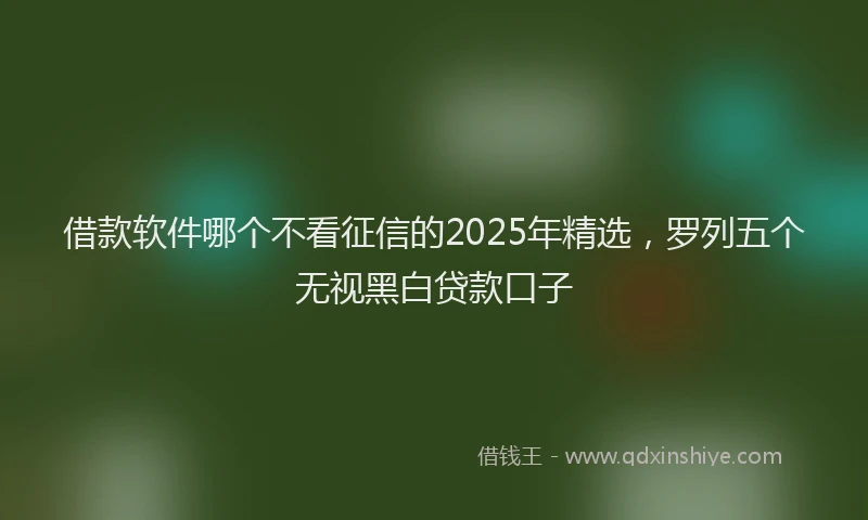 借款软件哪个不看征信的2025年精选,罗列五个无视黑白贷款口子