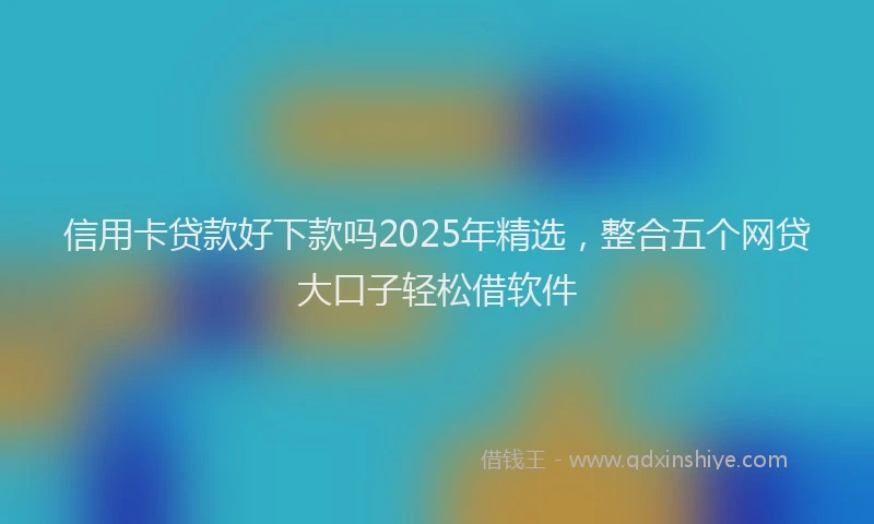 信用卡贷款好下款吗2025年精选，整合五个网贷大口子轻松借软件