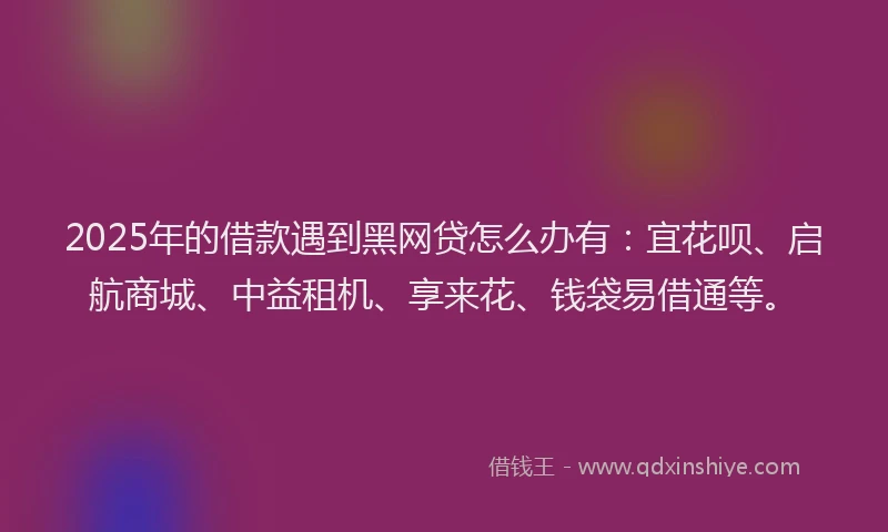 2025年的借款遇到黑网贷怎么办有：宜花呗、启航商城、中益租机、享来花、钱袋易借通等。