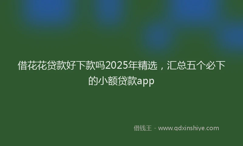借花花贷款好下款吗2025年精选，汇总五个必下的小额贷款app