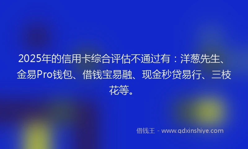 2025年的信用卡综合评估不通过有：洋葱先生、金易Pro钱包、借钱宝易融、现金秒贷易行、三枝花等。