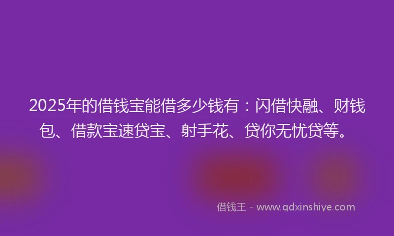 2025年的借钱宝能借多少钱有：闪借快融、财钱包、借款宝速贷宝、射手花、贷你无忧贷等。