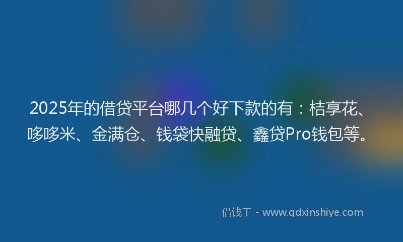 2025年的借贷平台哪几个好下款的有:桔享花、哆哆米、金满仓、钱袋快融贷、鑫贷Pro钱包等。