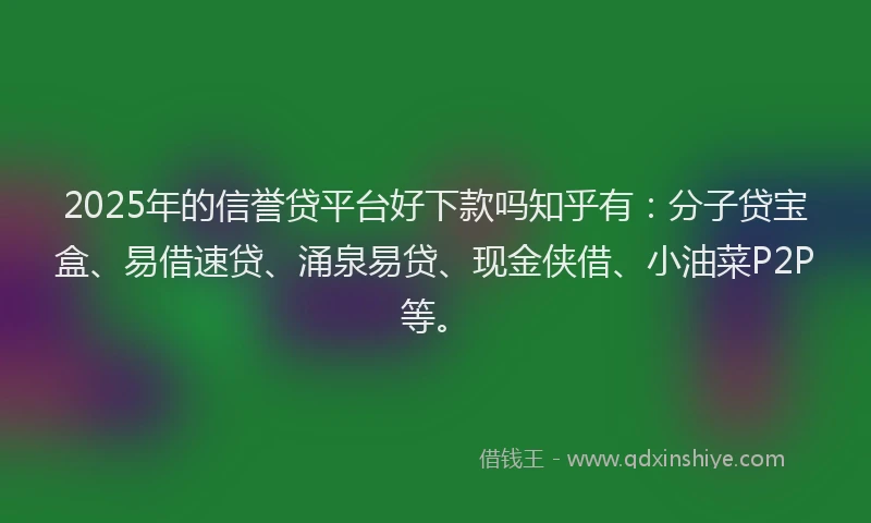 2025年的信誉贷平台好下款吗知乎有：分子贷宝盒、易借速贷、涌泉易贷、现金侠借、小油菜P2P等。
