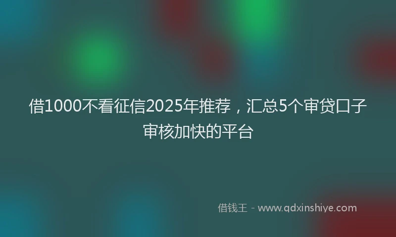 借1000不看征信2025年推荐，汇总5个审贷口子审核加快的平台