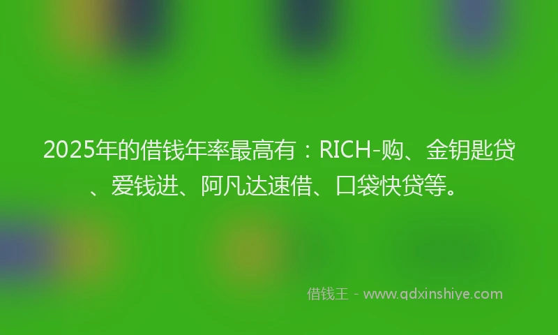 2025年的借钱年率最高有：RICH-购、金钥匙贷、爱钱进、阿凡达速借、口袋快贷等。