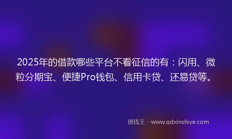 2025年的借款哪些平台不看征信的有：闪用、微粒分期宝、便捷Pro钱包、信用卡贷、还易贷等。