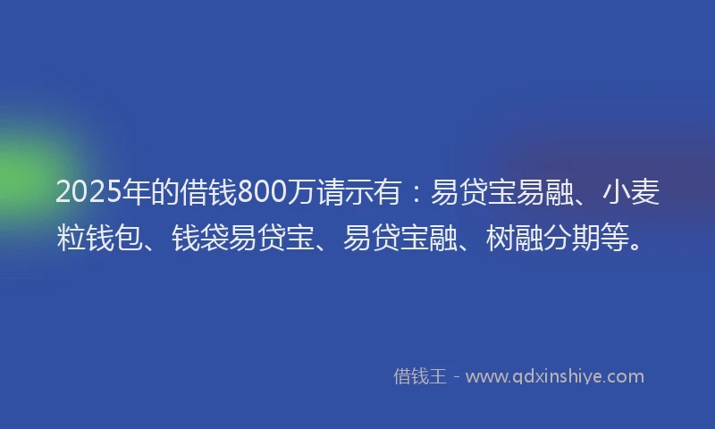 2025年的借钱800万请示有:易贷宝易融、小麦粒钱包、钱袋易贷宝、易贷宝融、树融分期等。