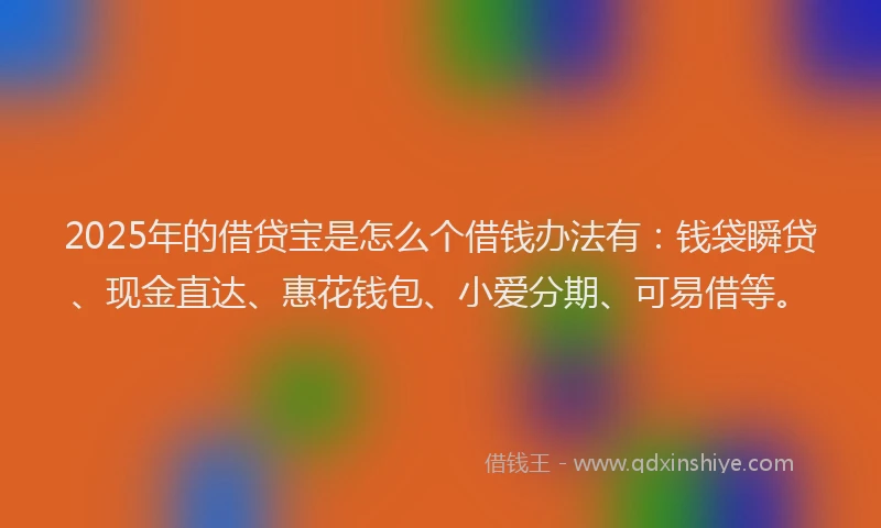 2025年的借贷宝是怎么个借钱办法有：钱袋瞬贷、现金直达、惠花钱包、小爱分期、可易借等。