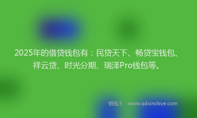 2025年的借贷钱包有：民贷天下、畅贷宝钱包、祥云贷、时光分期、瑞泽Pro钱包等。