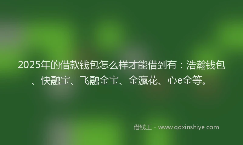 2025年的借款钱包怎么样才能借到有：浩瀚钱包、快融宝、飞融金宝、金瀛花、心e金等。