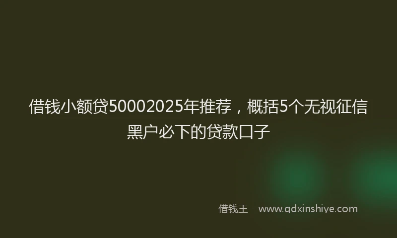 借钱小额贷50002025年推荐，概括5个无视征信黑户必下的贷款口子
