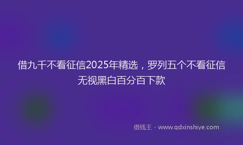 借九千不看征信2025年精选，罗列五个不看征信无视黑白百分百下款