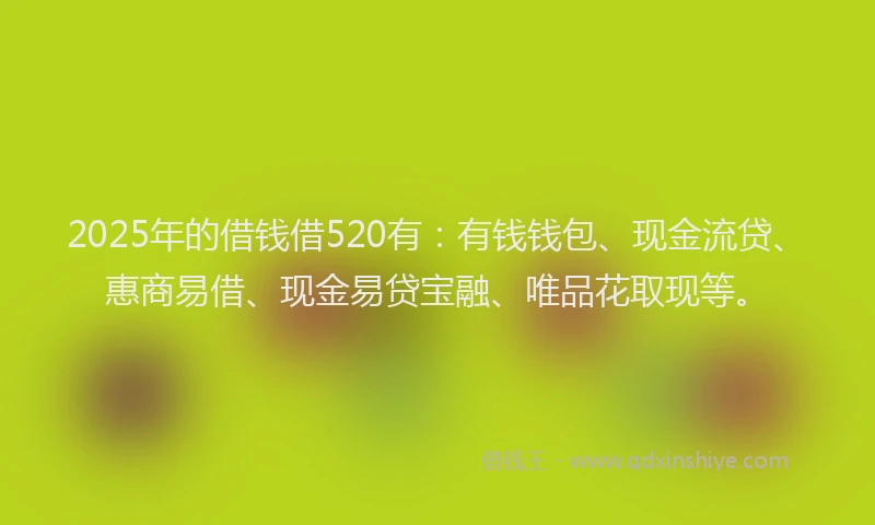 2025年的借钱借520有：有钱钱包、现金流贷、惠商易借、现金易贷宝融、唯品花取现等。