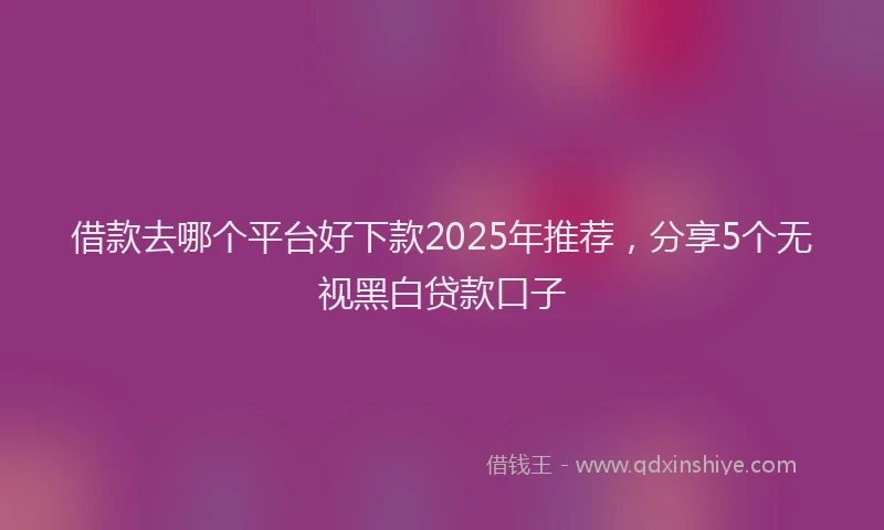 借款去哪个平台好下款2025年推荐，分享5个无视黑白贷款口子