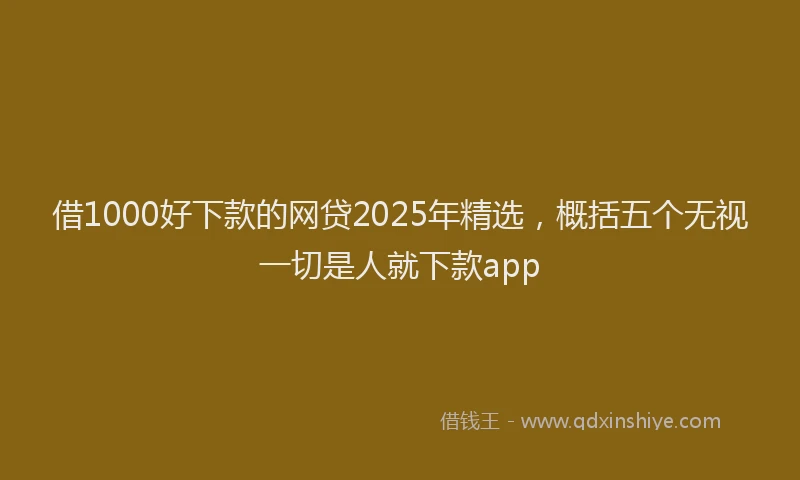 借1000好下款的网贷2025年精选，概括五个无视一切是人就下款app