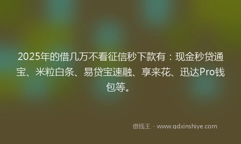 2025年的借几万不看征信秒下款有：现金秒贷通宝、米粒白条、易贷宝速融、享来花、迅达Pro钱包等。