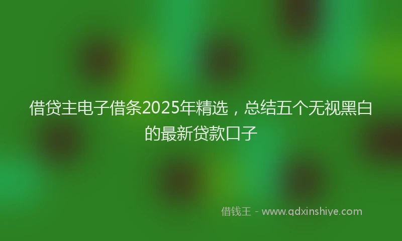 借贷主电子借条2025年精选，总结五个无视黑白的最新贷款口子
