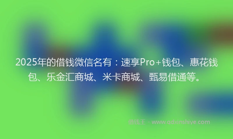 2025年的借钱微信名有：速享Pro+钱包、惠花钱包、乐金汇商城、米卡商城、甄易借通等。