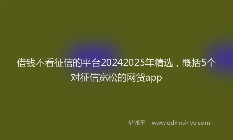 借钱不看征信的平台20242025年精选，概括5个对征信宽松的网贷app