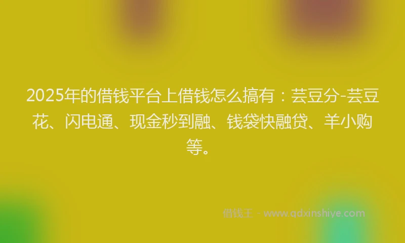 2025年的借钱平台上借钱怎么搞有：芸豆分-芸豆花、闪电通、现金秒到融、钱袋快融贷、羊小购等。