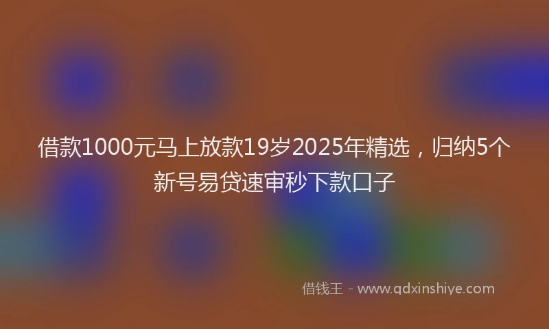 借款1000元马上放款19岁2025年精选，归纳5个新号易贷速审秒下款口子