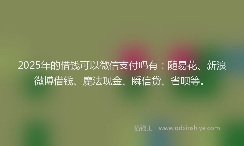2025年的借钱可以微信支付吗有：随易花、新浪微博借钱、魔法现金、瞬信贷、省呗等。