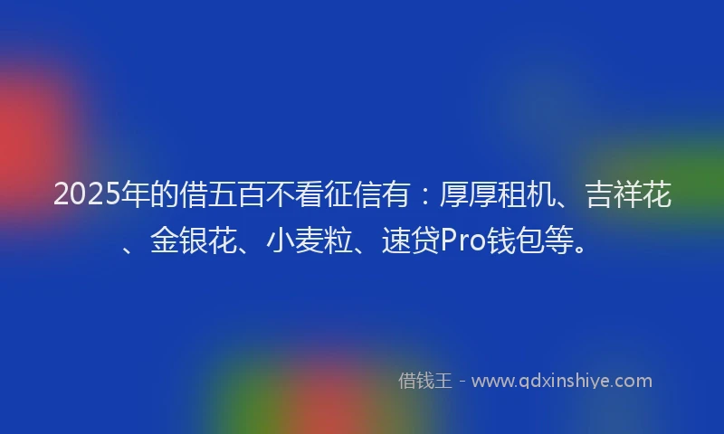 2025年的借五百不看征信有：厚厚租机、吉祥花、金银花、小麦粒、速贷Pro钱包等。