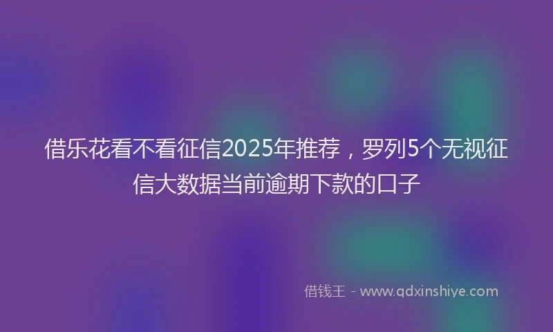 借乐花看不看征信2025年推荐，罗列5个无视征信大数据当前逾期下款的口子