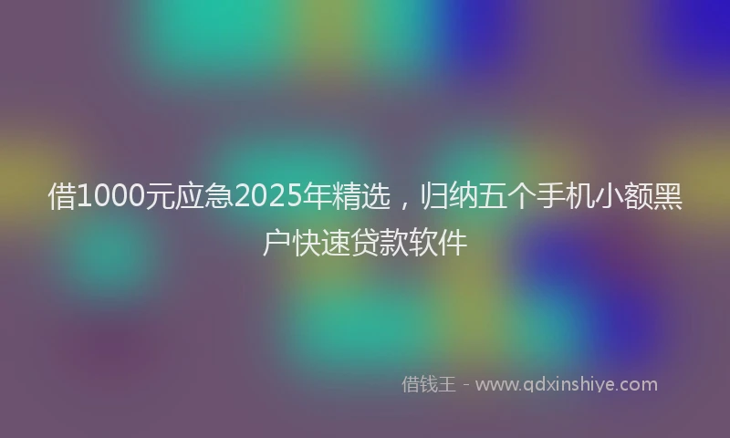 借1000元应急2025年精选，归纳五个手机小额黑户快速贷款软件