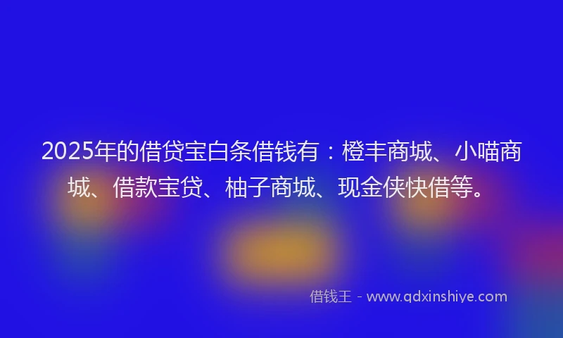 2025年的借贷宝白条借钱有：橙丰商城、小喵商城、借款宝贷、柚子商城、现金侠快借等。
