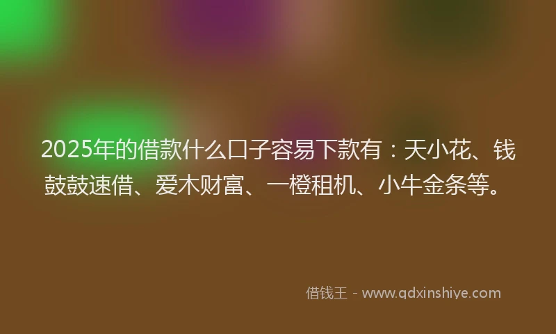 2025年的借款什么口子容易下款有：天小花、钱鼓鼓速借、爱木财富、一橙租机、小牛金条等。