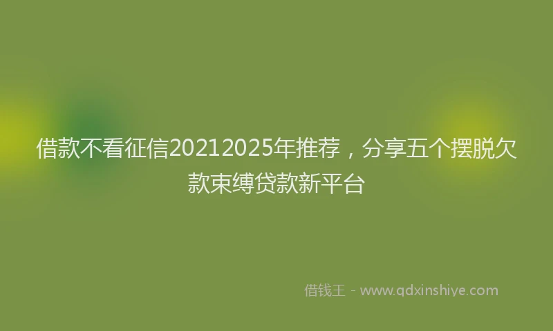 借款不看征信20212025年推荐，分享五个摆脱欠款束缚贷款新平台