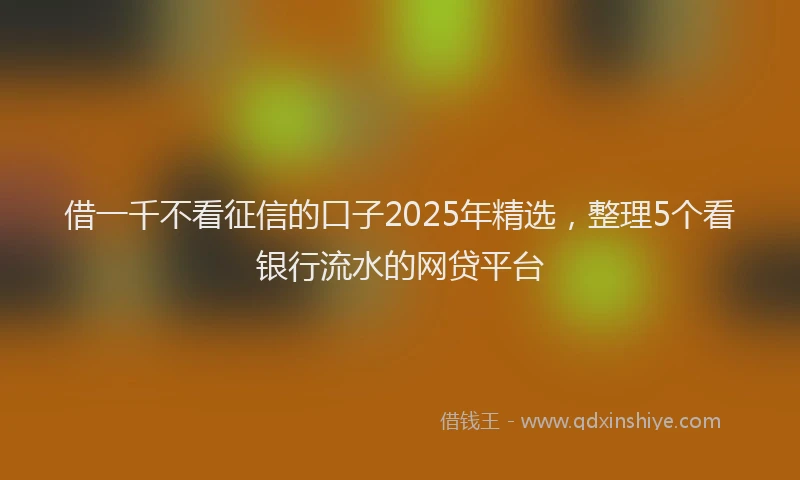 借一千不看征信的口子2025年精选，整理5个看银行流水的网贷平台