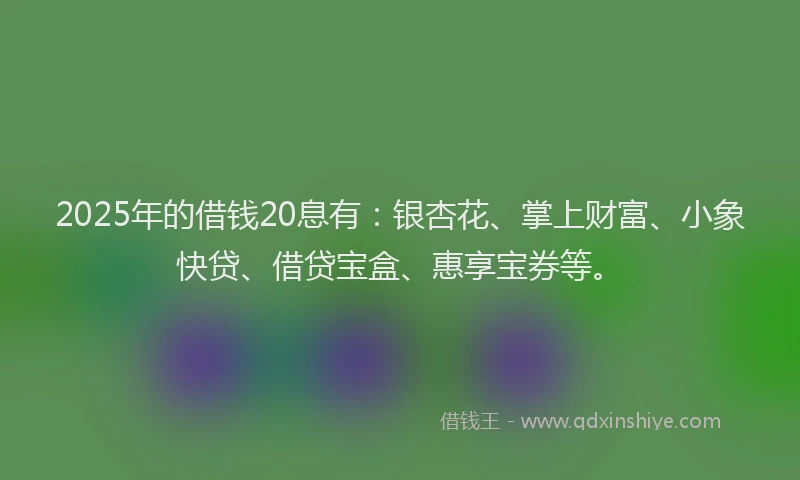 2025年的借钱20息有：银杏花、掌上财富、小象快贷、借贷宝盒、惠享宝券等。