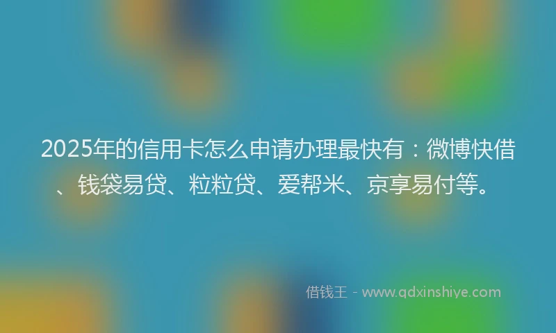 2025年的信用卡怎么申请办理最快有：微博快借、钱袋易贷、粒粒贷、爱帮米、京享易付等。