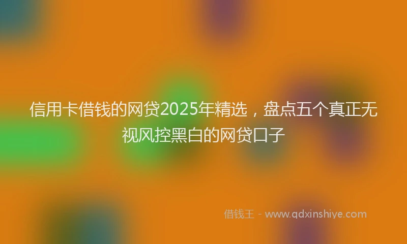 信用卡借钱的网贷2025年精选，盘点五个真正无视风控黑白的网贷口子