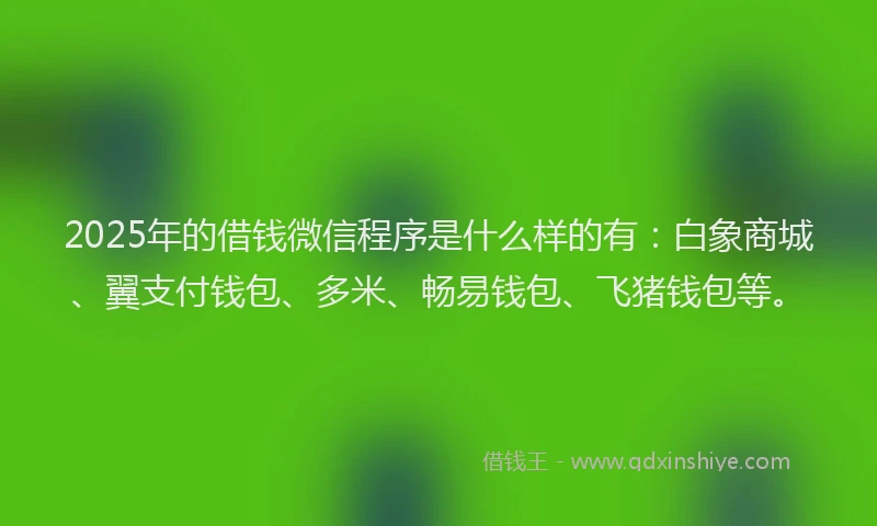 2025年的借钱微信程序是什么样的有：白象商城、翼支付钱包、多米、畅易钱包、飞猪钱包等。