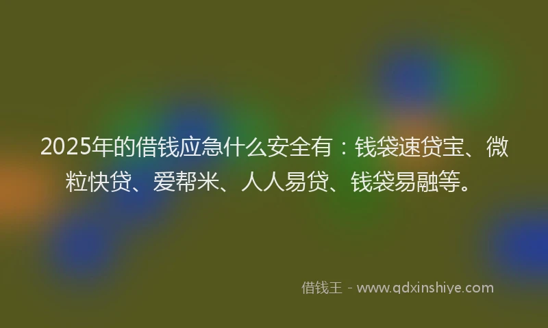 2025年的借钱应急什么安全有：钱袋速贷宝、微粒快贷、爱帮米、人人易贷、钱袋易融等。