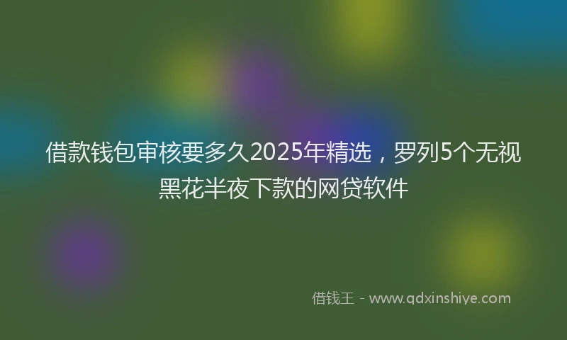 借款钱包审核要多久2025年精选，罗列5个无视黑花半夜下款的网贷软件