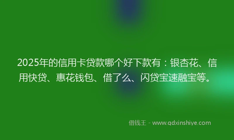 2025年的信用卡贷款哪个好下款有：银杏花、信用快贷、惠花钱包、借了么、闪贷宝速融宝等。