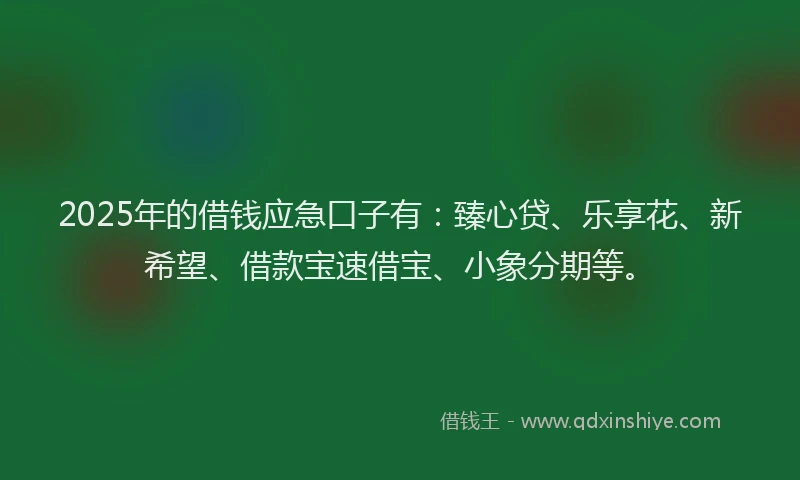 2025年的借钱应急口子有：臻心贷、乐享花、新希望、借款宝速借宝、小象分期等。