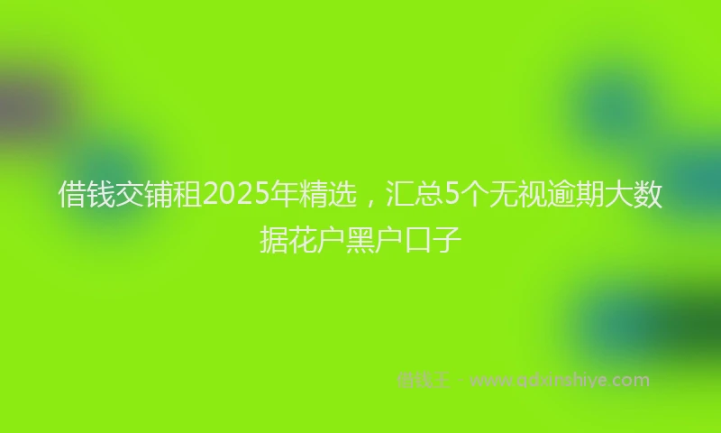 借钱交铺租2025年精选，汇总5个无视逾期大数据花户黑户口子