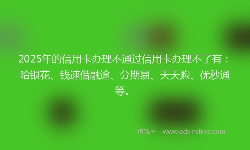 2025年的信用卡办理不通过信用卡办理不了有：哈银花、钱速借融途、分期易、天天购、优秒通等。