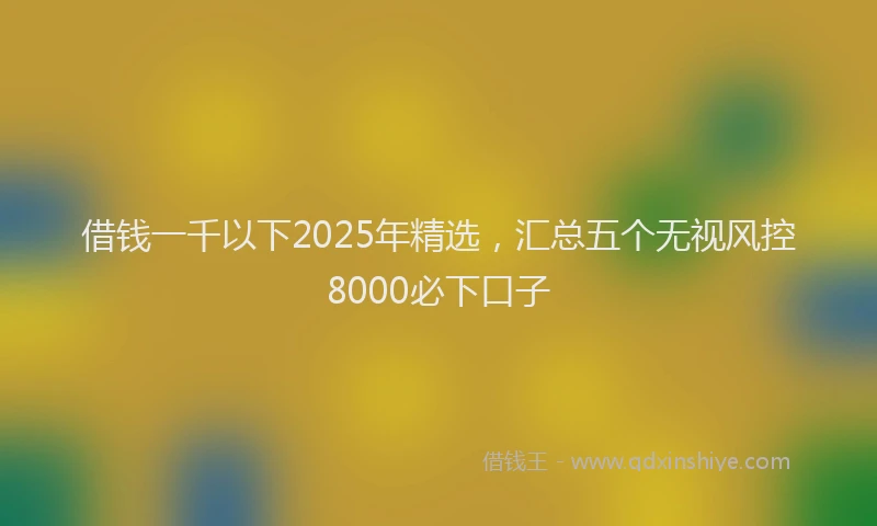 借钱一千以下2025年精选，汇总五个无视风控8000必下口子