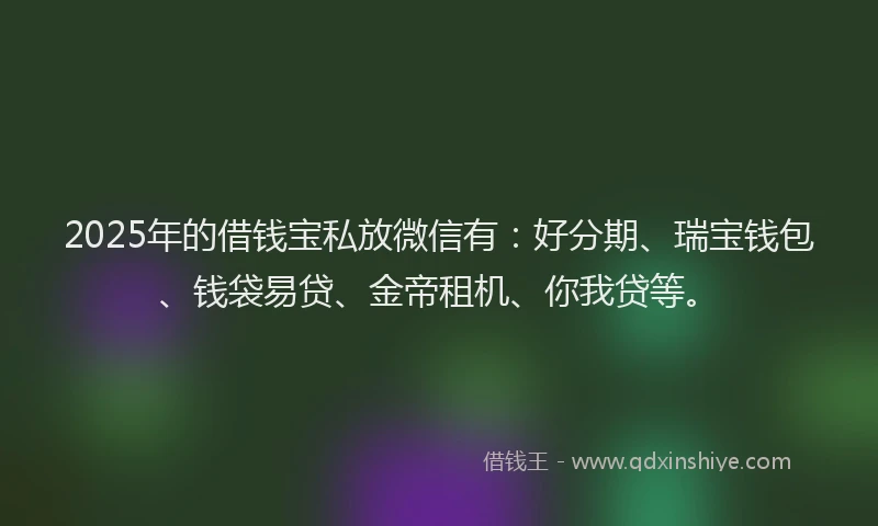 2025年的借钱宝私放微信有：好分期、瑞宝钱包、钱袋易贷、金帝租机、你我贷等。