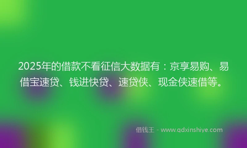 2025年的借款不看征信大数据有：京享易购、易借宝速贷、钱进快贷、速贷侠、现金侠速借等。
