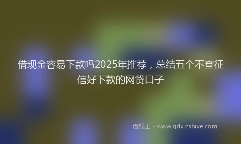 借现金容易下款吗2025年推荐，总结五个不查征信好下款的网贷口子