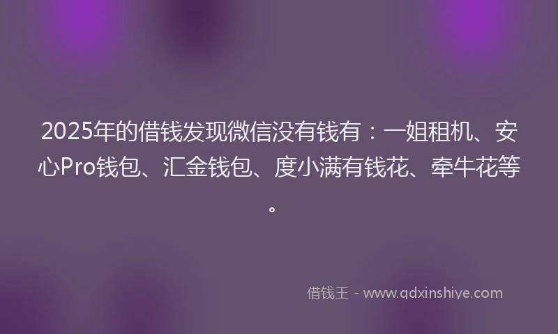 2025年的借钱发现微信没有钱有：一姐租机、安心Pro钱包、汇金钱包、度小满有钱花、牵牛花等。